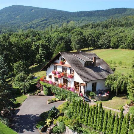 La Maison Fleurie Dieffenbach-au-Val Exterior foto