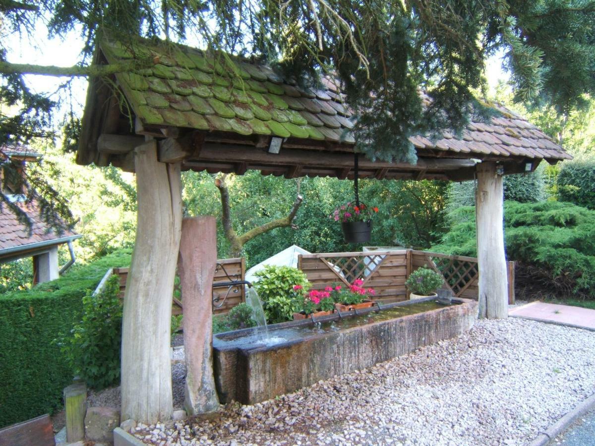 La Maison Fleurie Dieffenbach-au-Val Exterior foto